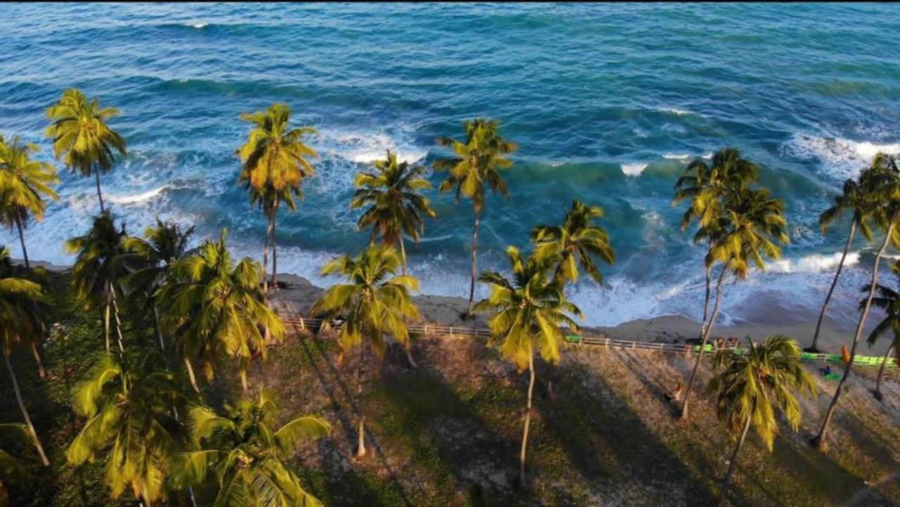 Bangalo Luxo Beira Mar Carneiros Beach Resort Praia dos Carneiros Eksteriør bilde